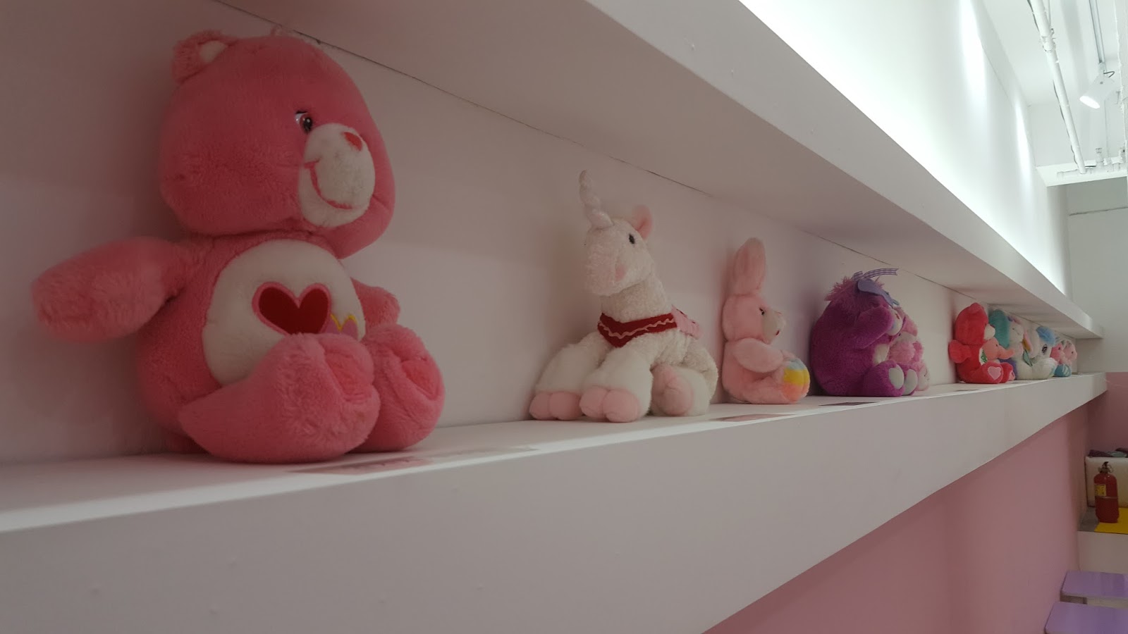 Take a bear, squeeze a bear~ But ask first!