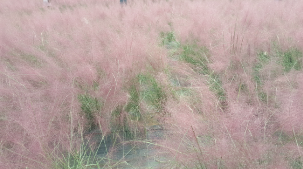 Get off right at the park! Easy as pie!